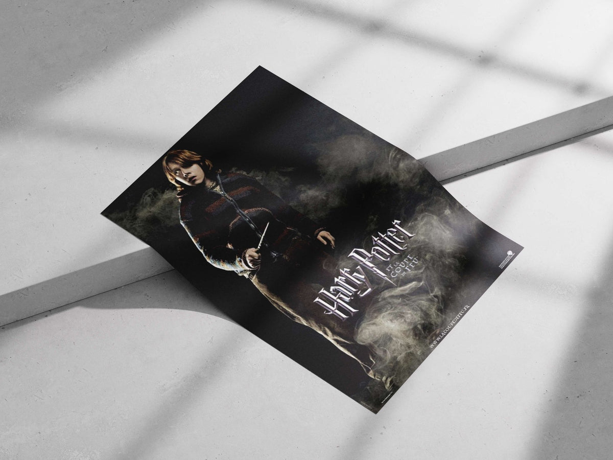 Harry Potter (franchise) Main Subject: Harry Potter (franchise) Matte poster print — Hollywood wall art India | PosterBoizz