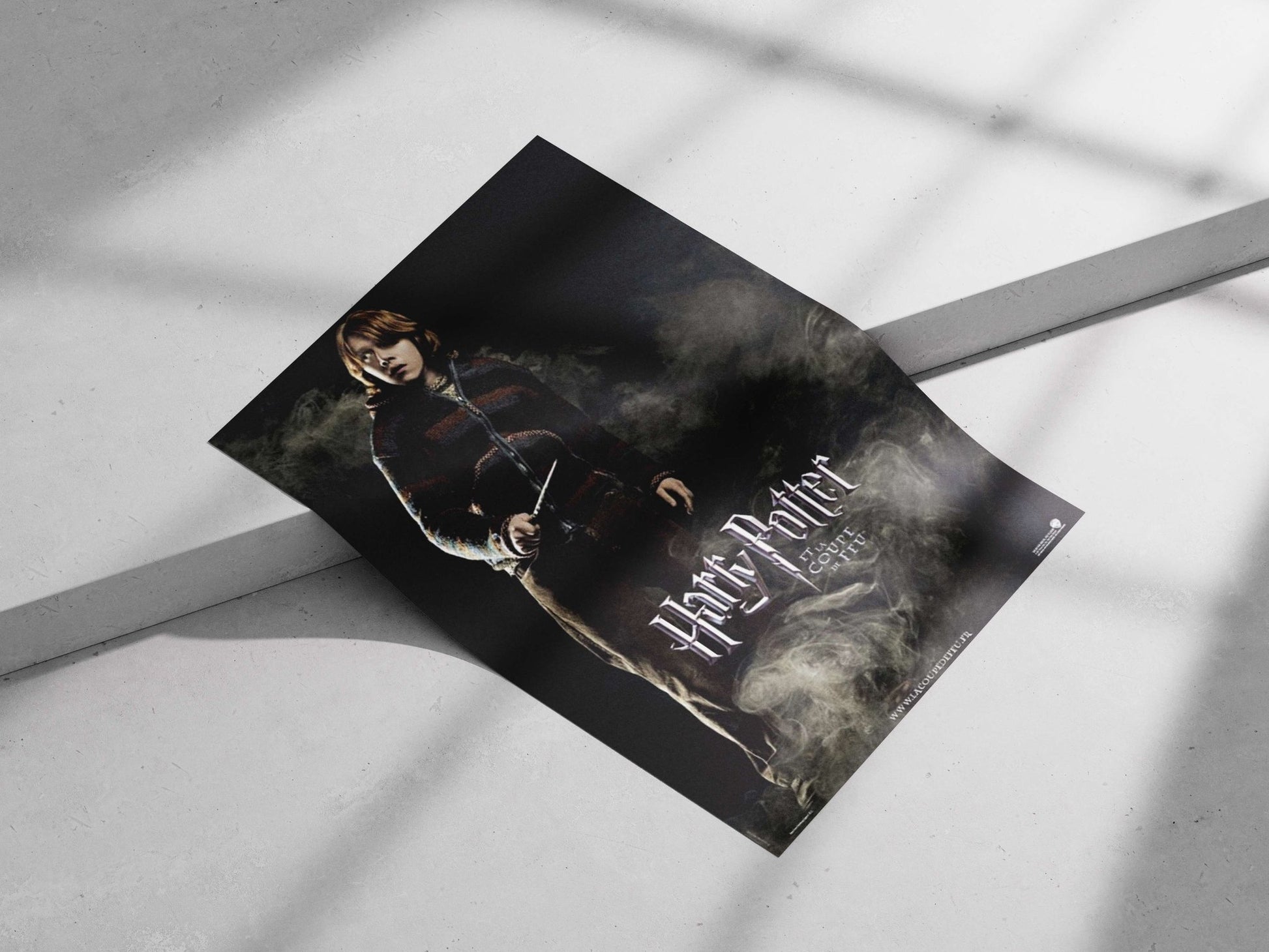 Harry Potter (franchise) Main Subject: Harry Potter (franchise) Matte poster print — Hollywood wall art India | PosterBoizz