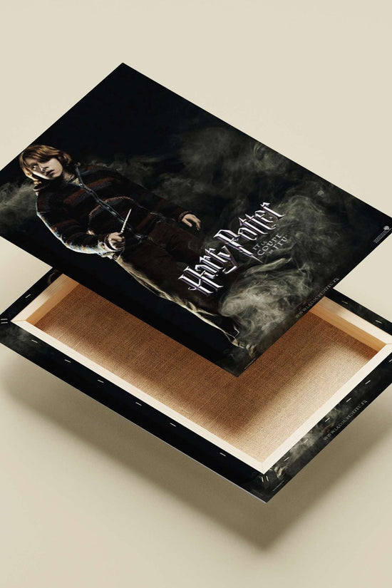 Harry Potter (franchise) Main Subject: Harry Potter (franchise) Canvas wall art — Hollywood wall art India | PosterBoizz