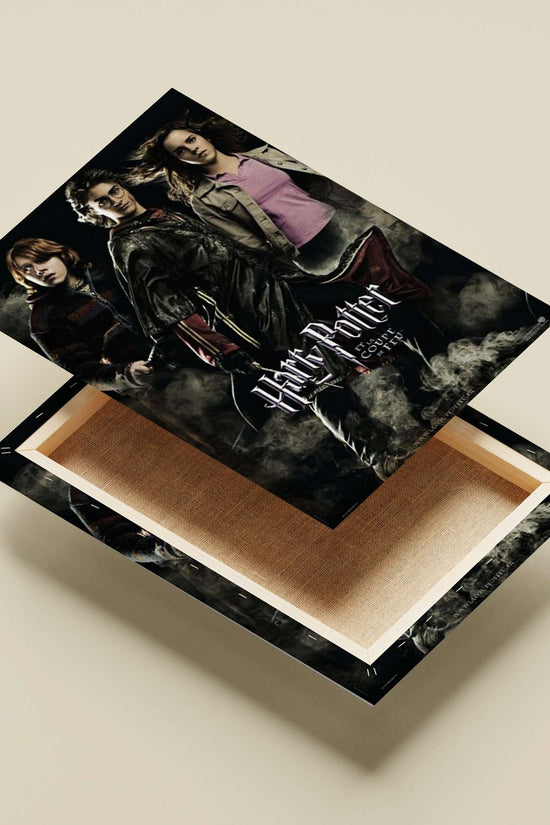 Harry Potter, Ronald Weasley, Hermione Granger (Harry Potter franchise) Main Subject: Harry Potter, Ronald Weasley, Hermione