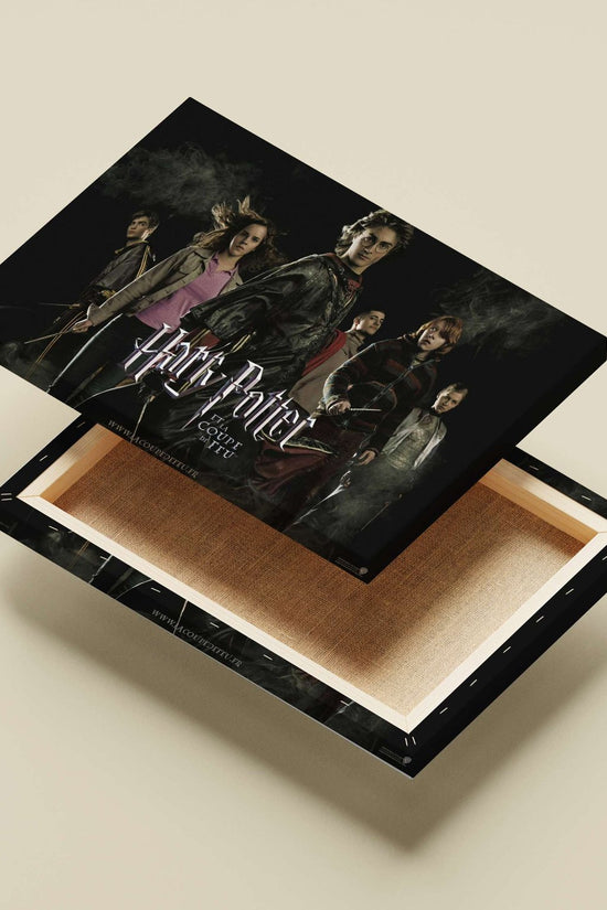 Harry Potter and the Goblet of Fire (film) Main Subject: Harry Potter and the Goblet of Fire (film) Canvas wall art —