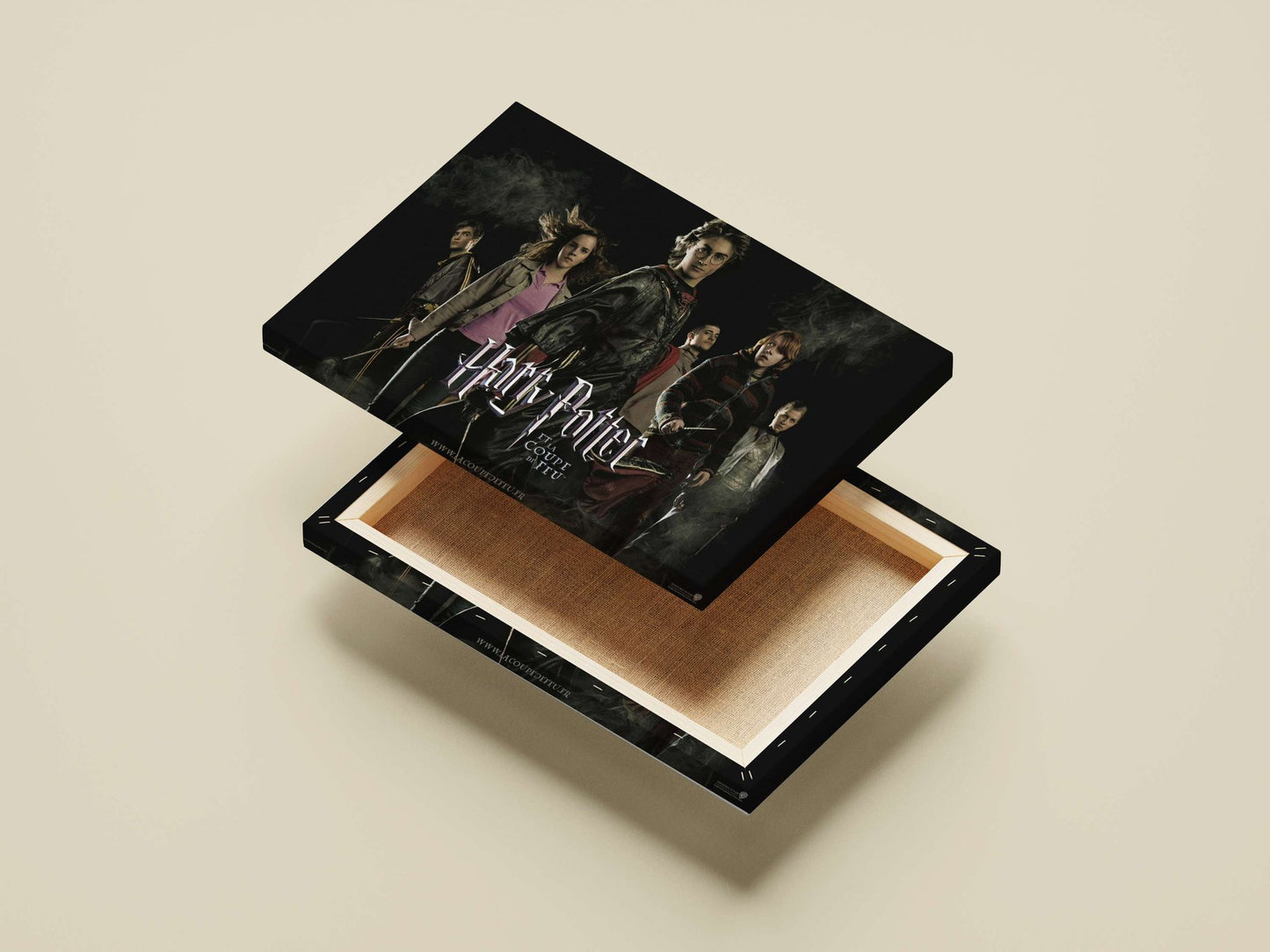 Harry Potter and the Goblet of Fire (film) Main Subject: Harry Potter and the Goblet of Fire (film) Canvas wall art —