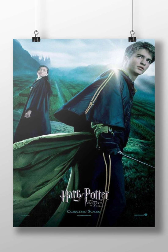 Harry Potter and Hermione Granger (characters from the Harry Potter franchise) Main Subject: Harry Potter and Hermione