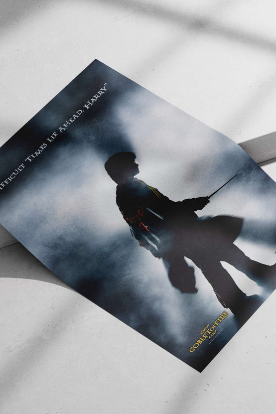 Harry Potter (from the Harry Potter franchise) Main Subject: Harry Potter (from the Harry Potter franchise) Matte poster