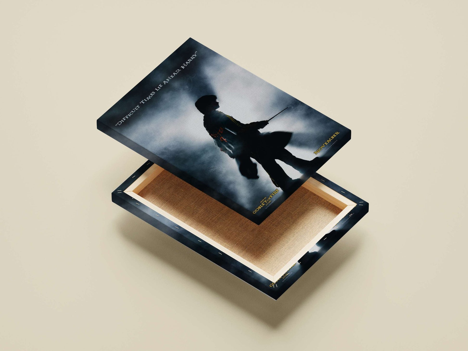 Harry Potter (from the Harry Potter franchise) Main Subject: Harry Potter (from the Harry Potter franchise) Canvas wall art
