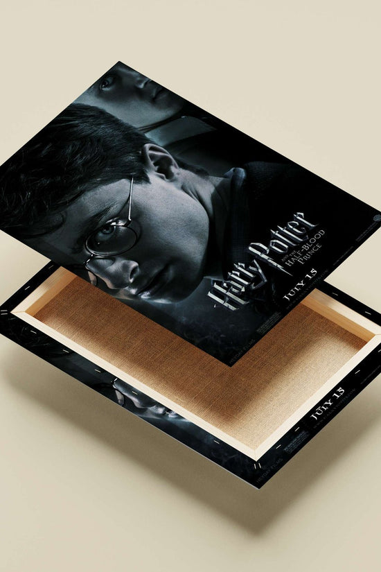 Harry Potter (from the Harry Potter franchise) Main Subject: Harry Potter (from the Harry Potter franchise) Canvas wall art