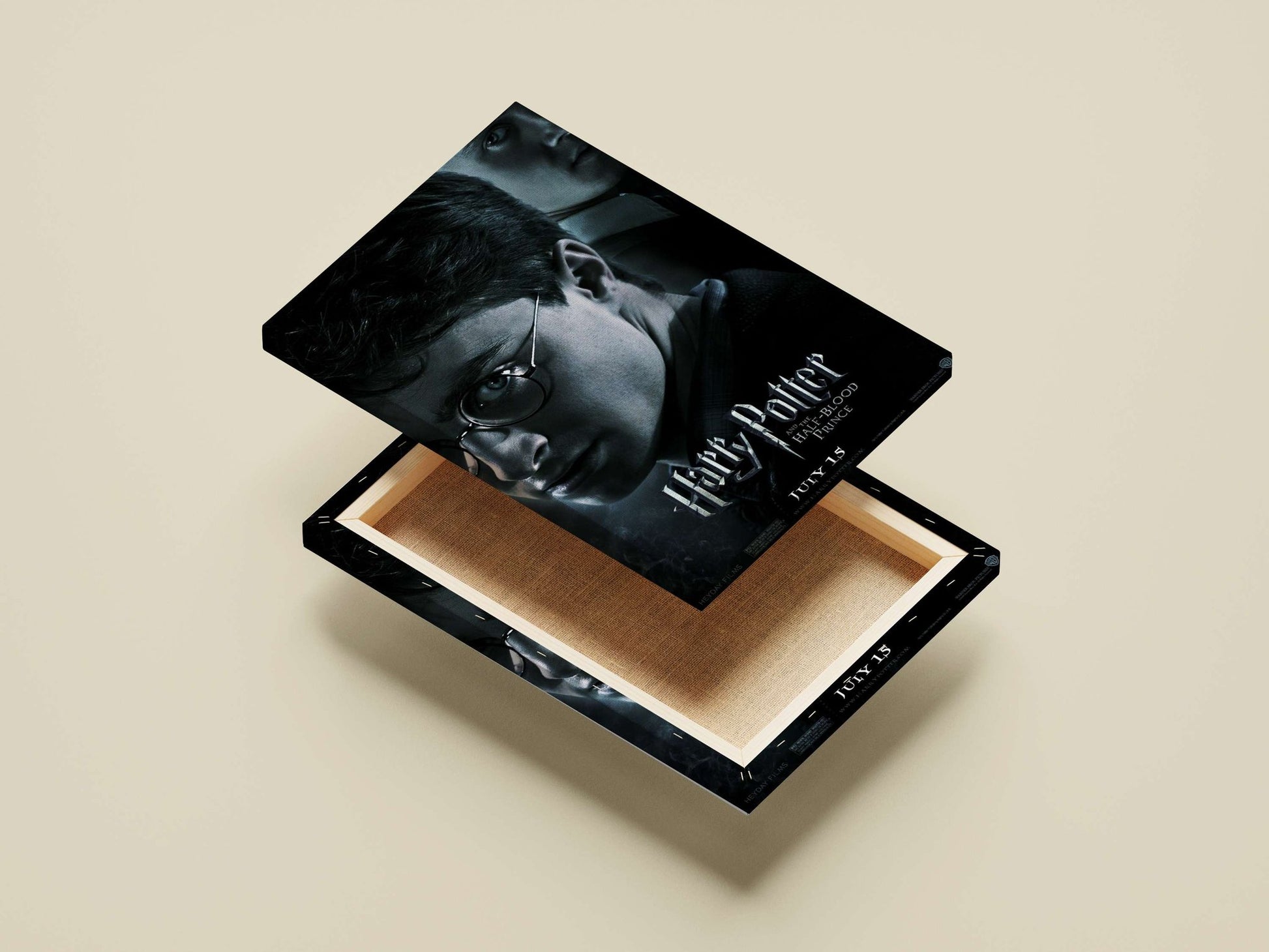 Harry Potter (from the Harry Potter franchise) Main Subject: Harry Potter (from the Harry Potter franchise) Canvas wall art