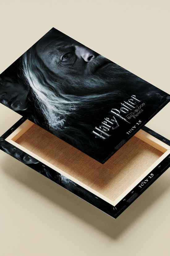 Harry Potter and the Half-Blood Prince (film) Main Subject: Harry Potter and the Half-Blood Prince (film) Canvas wall art —