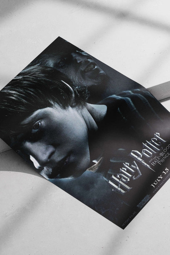 Harry Potter and Lord Voldemort Main Subject: Harry Potter and Lord Voldemort Matte poster print — Superhero wall art India