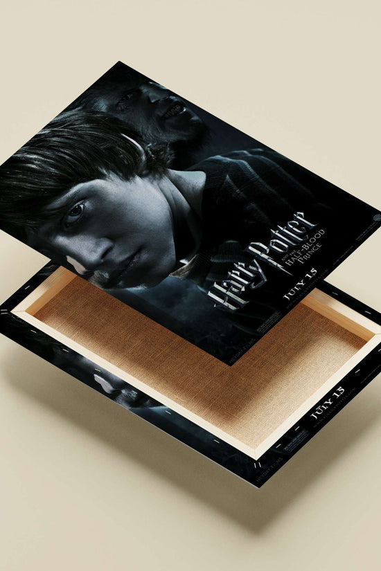 Harry Potter and Lord Voldemort Main Subject: Harry Potter and Lord Voldemort Canvas wall art — Superhero wall art India |