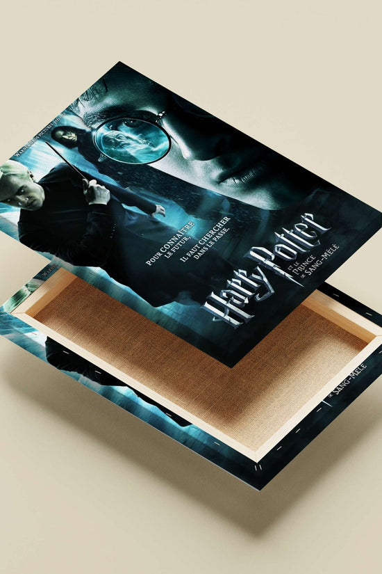 Harry Potter franchise (specifically *Harry Potter et le Prince de Sang-Mêlé* / *Harry Potter and the Half-Blood Prince*)