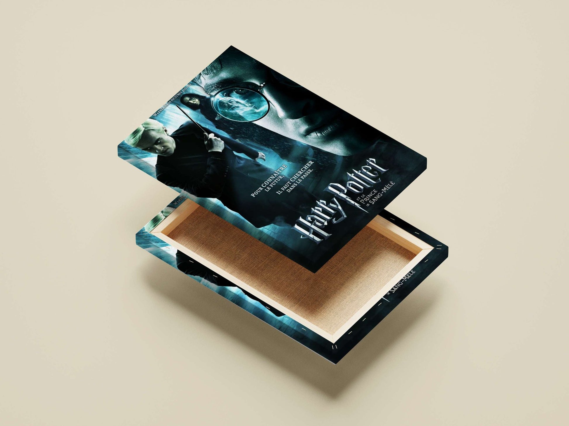 Harry Potter franchise (specifically *Harry Potter et le Prince de Sang-Mêlé* / *Harry Potter and the Half-Blood Prince*)