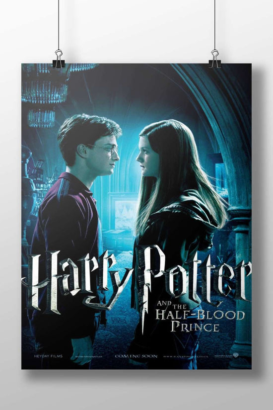 Harry Potter and Hermione Granger (Harry Potter franchise) Main Subject: Harry Potter and Hermione Granger (Harry Potter