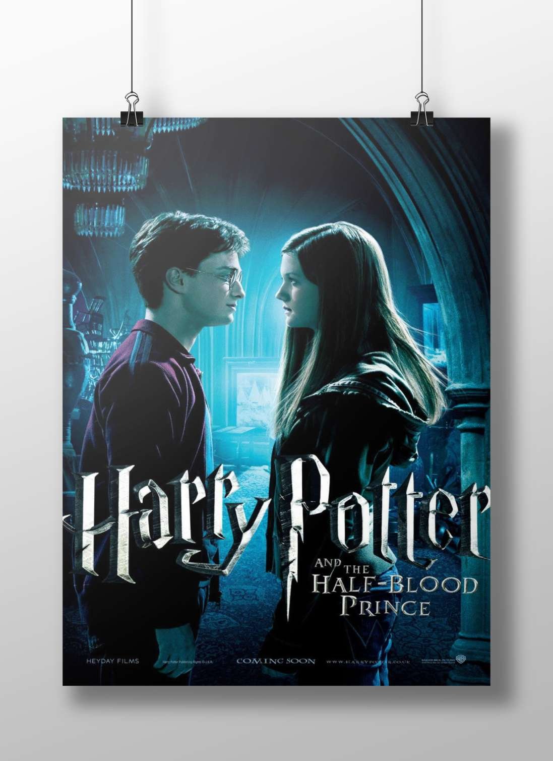 Harry Potter and Hermione Granger (Harry Potter franchise) Main Subject: Harry Potter and Hermione Granger (Harry Potter