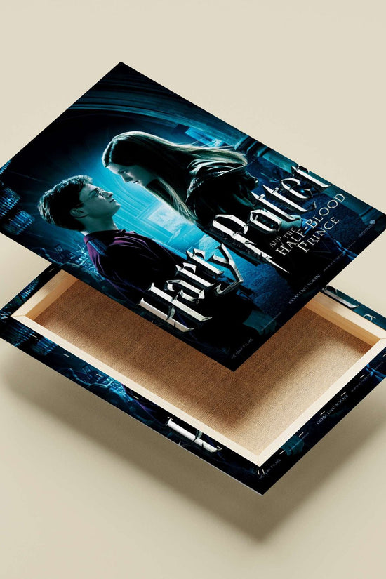 Harry Potter and Hermione Granger (Harry Potter franchise) Main Subject: Harry Potter and Hermione Granger (Harry Potter