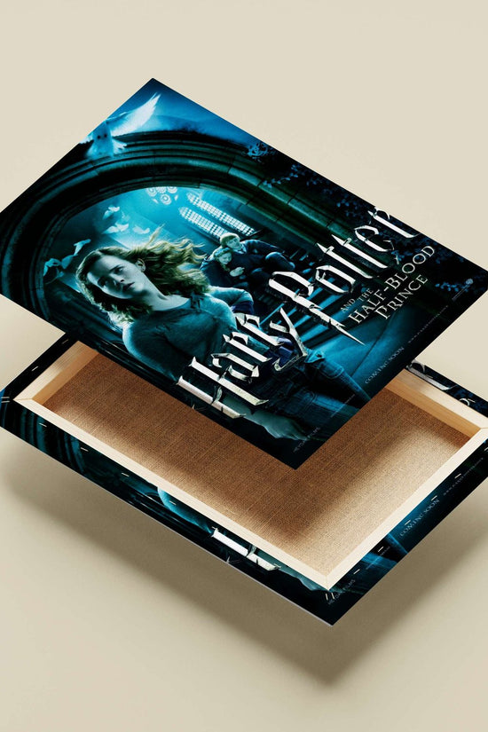 Harry Potter and the Half-Blood Prince (film from the Harry Potter franchise) Main Subject: Harry Potter and the Half-Blood