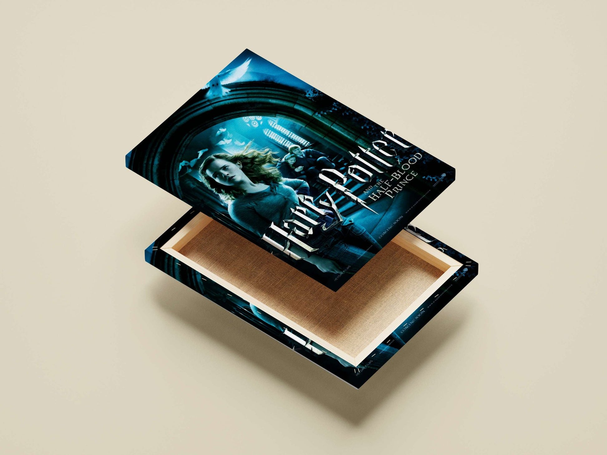 Harry Potter and the Half-Blood Prince (film from the Harry Potter franchise) Main Subject: Harry Potter and the Half-Blood