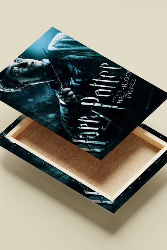 Harry Potter (character) from the Harry Potter franchise Main Subject: Harry Potter (character) from the Harry Potter