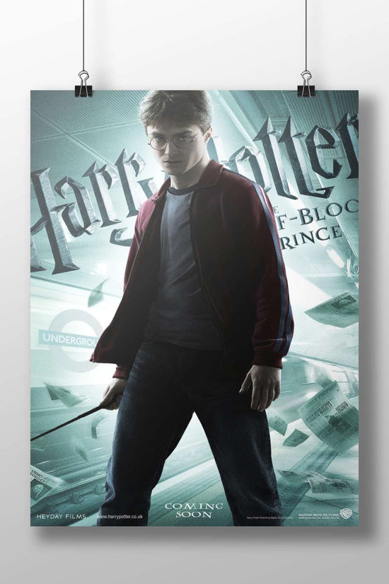 Harry Potter (Harry Potter franchise) Main Subject: Harry Potter (Harry Potter franchise) Matte BoizzBoard rigid print —