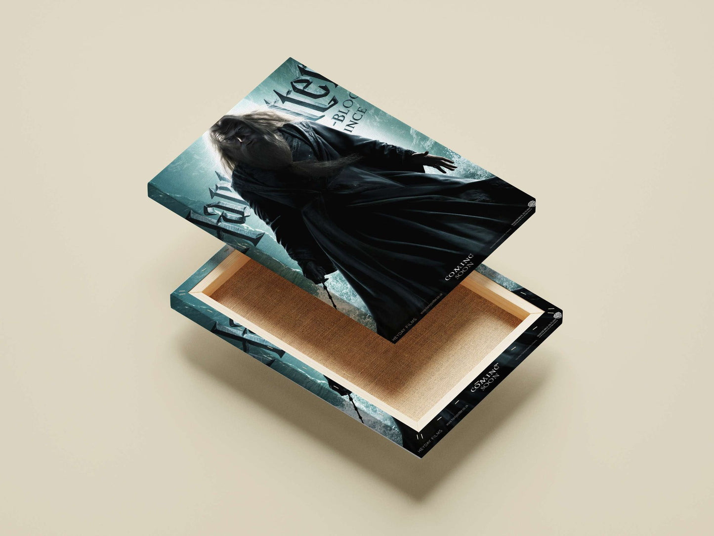 Albus Dumbledore (Harry Potter franchise) Main Subject: Albus Dumbledore (Harry Potter franchise) Canvas wall art —