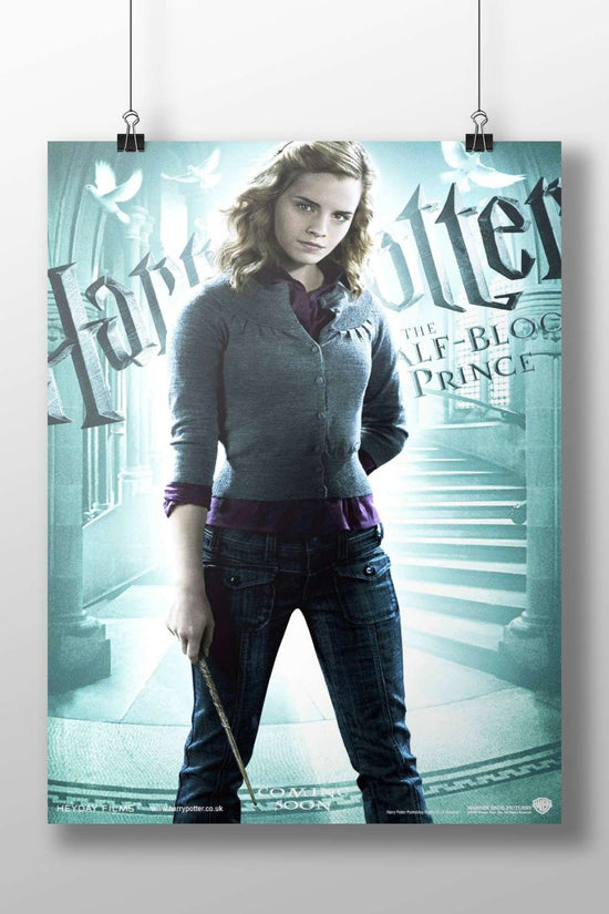 Hermione Granger (Harry Potter franchise) Main Subject: Hermione Granger (Harry Potter franchise) Matte BoizzBoard rigid