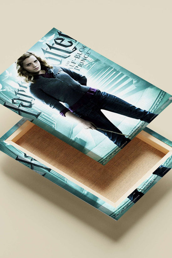 Hermione Granger (Harry Potter franchise) Main Subject: Hermione Granger (Harry Potter franchise) Canvas wall art —