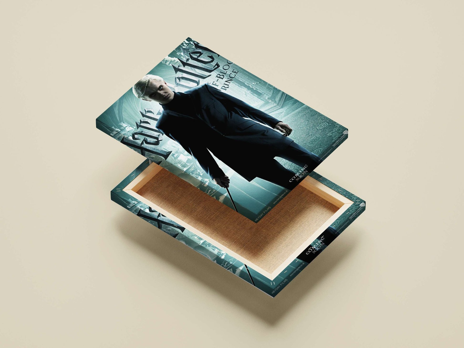 Draco Malfoy from the Harry Potter franchise Main Subject: Draco Malfoy from the Harry Potter franchise Canvas wall art —