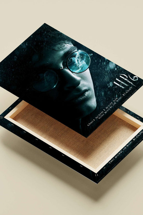 Harry Potter (character from Harry Potter franchise) Main Subject: Harry Potter (character from Harry Potter franchise)