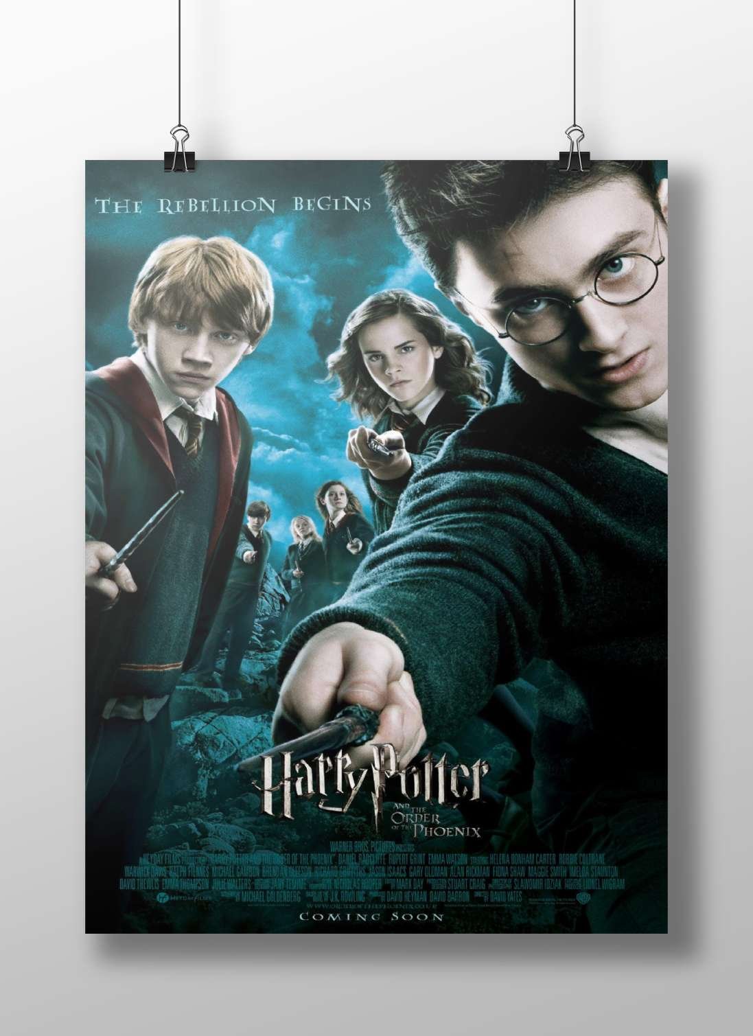 Harry Potter and the Order of the Phoenix Main Subject: Harry Potter and the Order of the Phoenix Matte BoizzBoard rigid