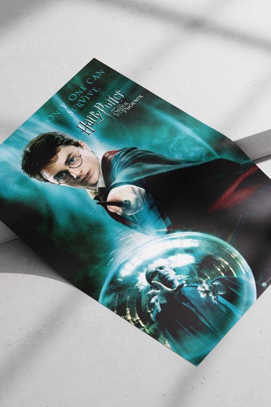 Harry Potter and Lord Voldemort Main Subject: Harry Potter and Lord Voldemort Matte poster print — Anime wall art India |