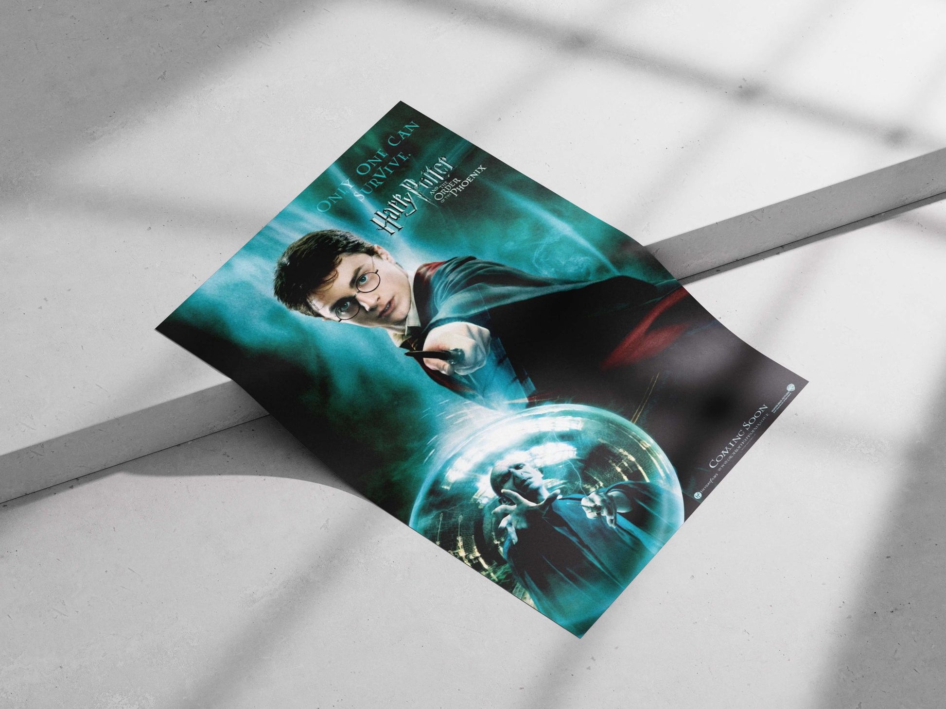 Harry Potter and Lord Voldemort Main Subject: Harry Potter and Lord Voldemort Matte poster print — Anime wall art India |