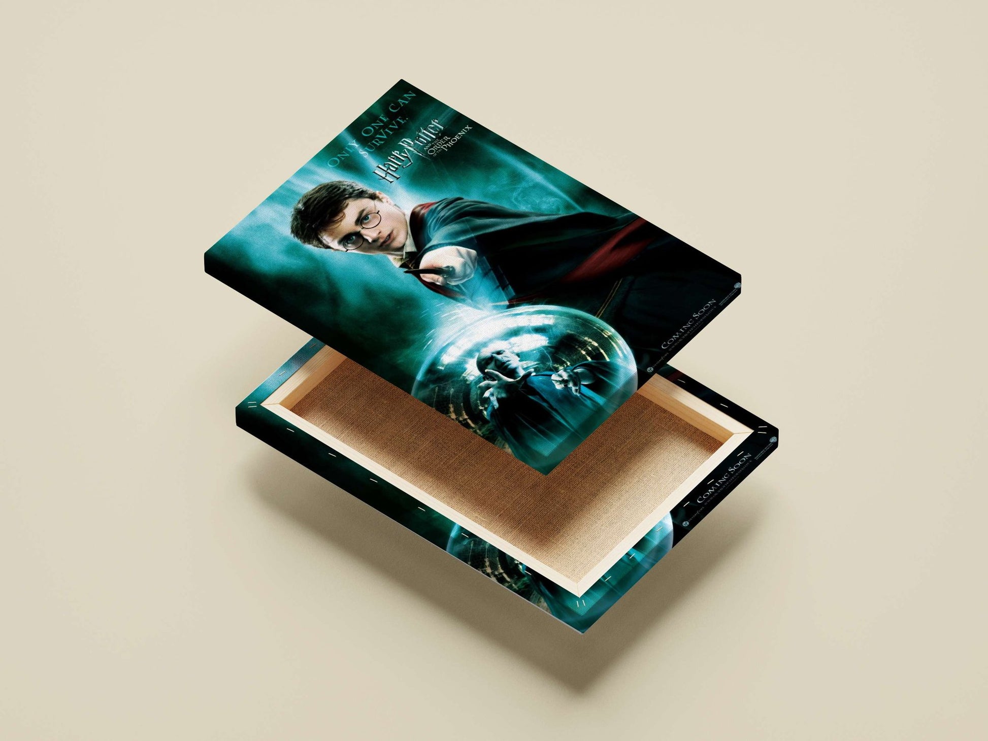 Harry Potter and Lord Voldemort Main Subject: Harry Potter and Lord Voldemort Canvas wall art — Anime wall art India |