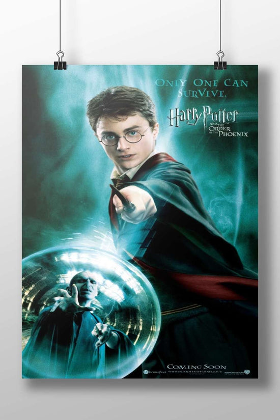 Harry Potter and Lord Voldemort Main Subject: Harry Potter and Lord Voldemort Matte BoizzBoard rigid print — Anime wall art
