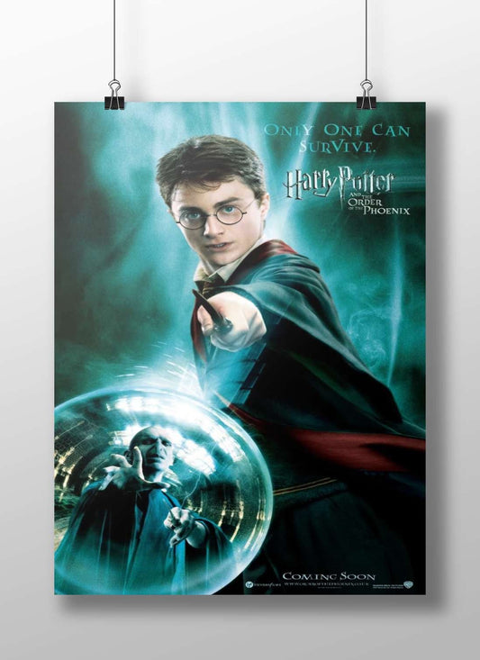Harry Potter and Lord Voldemort Main Subject: Harry Potter and Lord Voldemort Matte BoizzBoard rigid print — Anime wall art