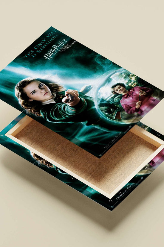 Hermione Granger and Professor McGonagall from "Harry Potter and the Order of the Phoenix" Main Subject: Hermione Granger