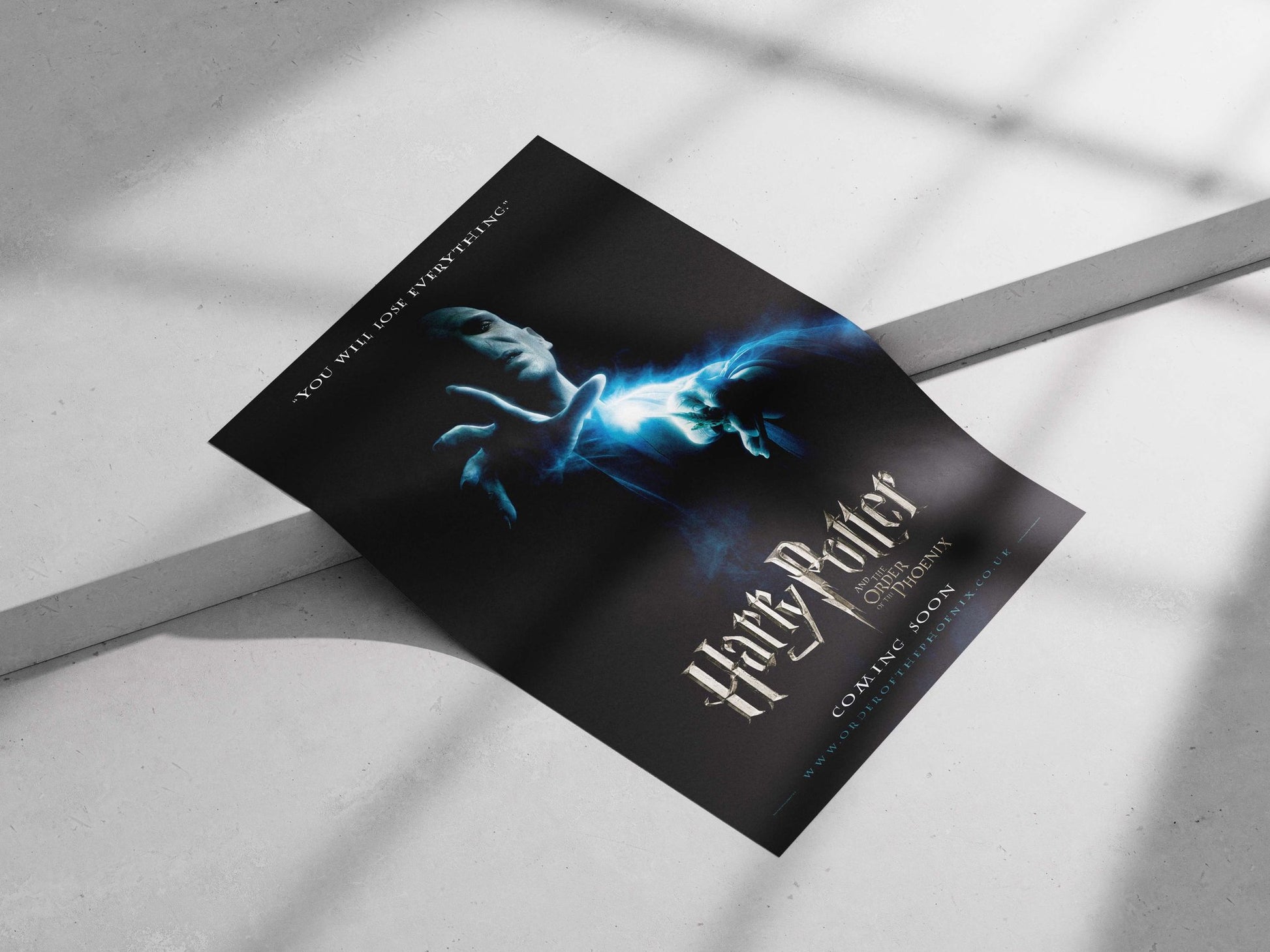 Lord Voldemort from the Harry Potter franchise Main Subject: Lord Voldemort from the Harry Potter franchise Matte poster