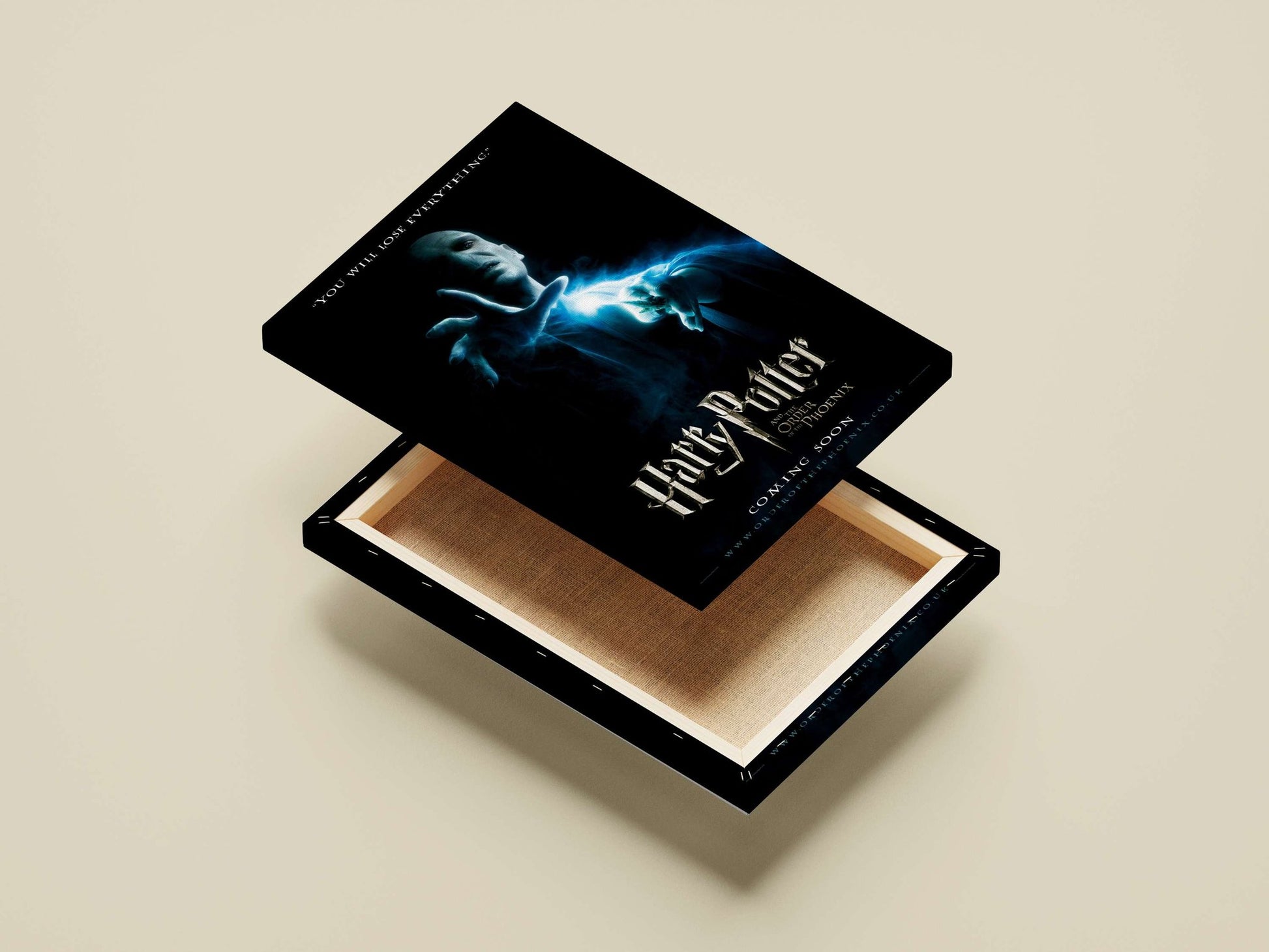 Lord Voldemort from the Harry Potter franchise Main Subject: Lord Voldemort from the Harry Potter franchise Canvas wall art