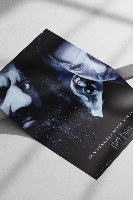 Harry Potter franchise characters (Rubeus Hagrid, Albus Dumbledore) Main Subject: Harry Potter franchise characters (Rubeus