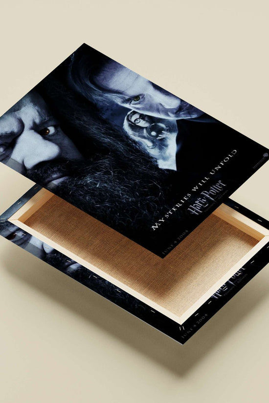 Harry Potter franchise characters (Rubeus Hagrid, Albus Dumbledore) Main Subject: Harry Potter franchise characters (Rubeus