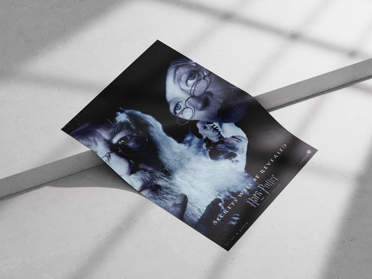 Harry Potter franchise Main Subject: Harry Potter franchise Matte poster print — Superhero wall art India | PosterBoizz