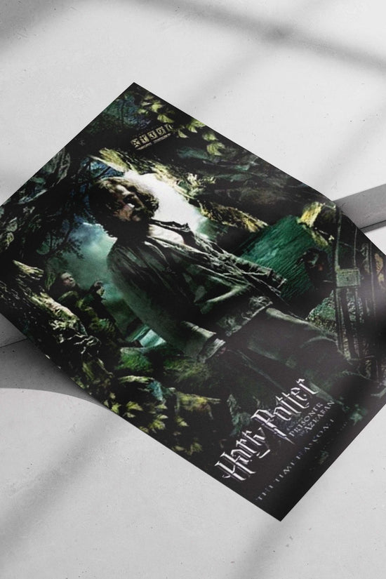 Harry Potter and the Prisoner of Azkaban Main Subject: Harry Potter and the Prisoner of Azkaban Matte poster print —