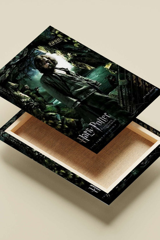 Harry Potter and the Prisoner of Azkaban Main Subject: Harry Potter and the Prisoner of Azkaban Canvas wall art — Bollywood