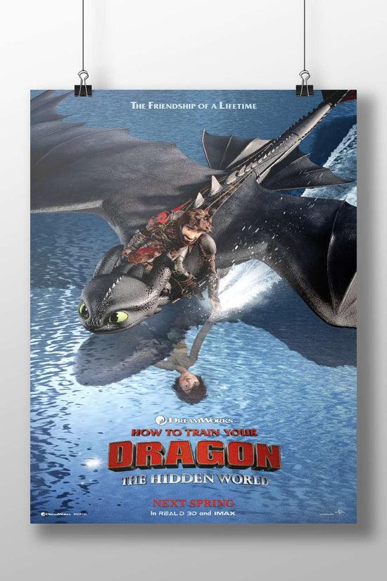 Hiccup and Toothless from the "How to Train Your Dragon" franchise Main Subject: Hiccup and Toothless from the "How to Train