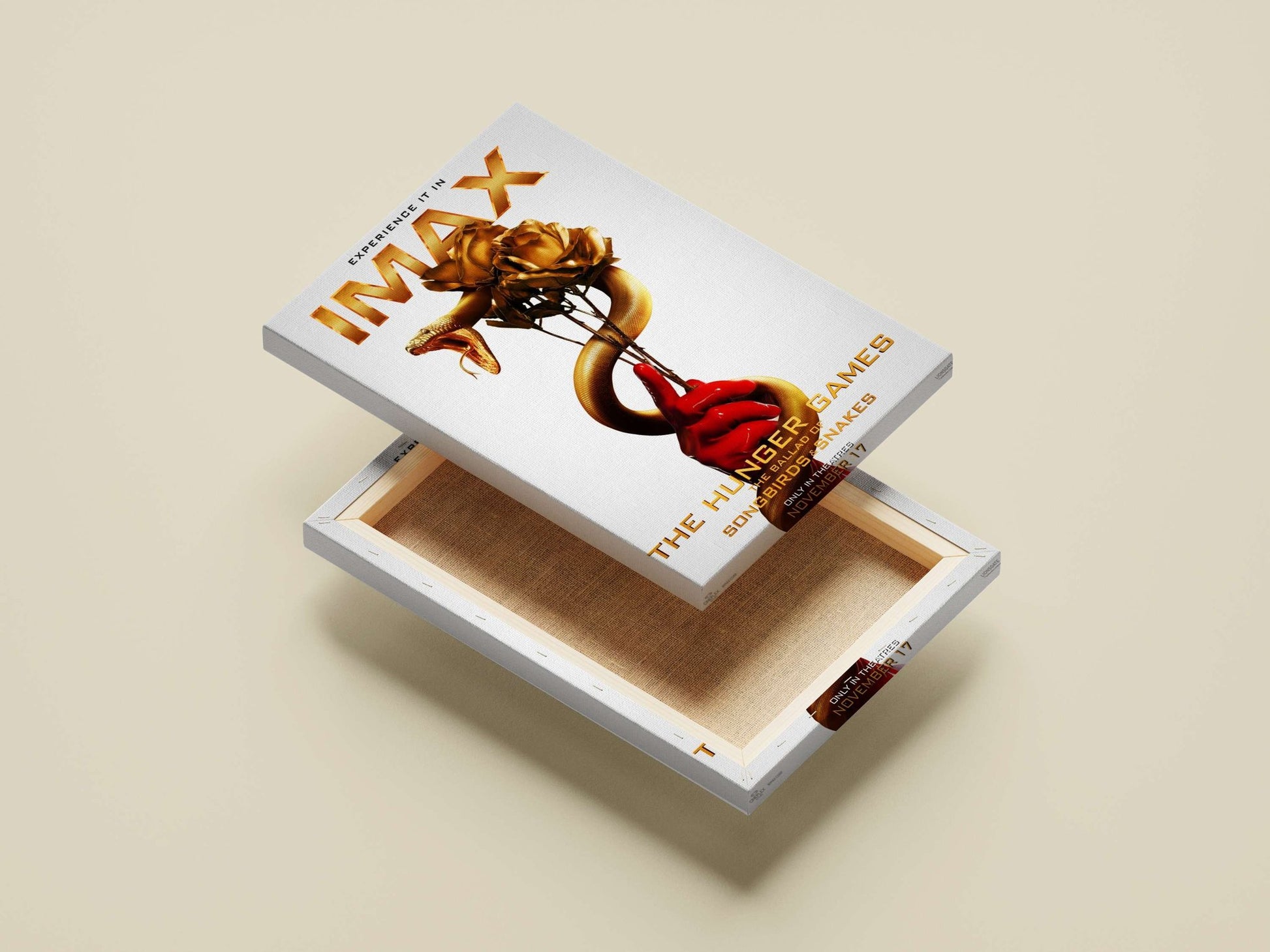 The Hunger Games: The Ballad of Songbirds & Snakes Main Subject: The Hunger Games: The Ballad of Songbirds & Snakes Canvas
