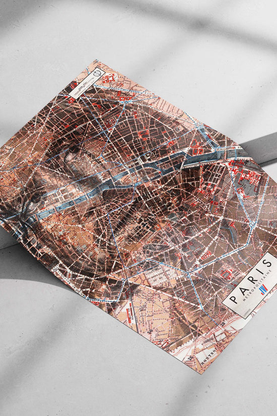 Paris Metro (RATP) map Main Subject: Paris Metro (RATP) map Matte poster print — Art wall art India | PosterBoizz