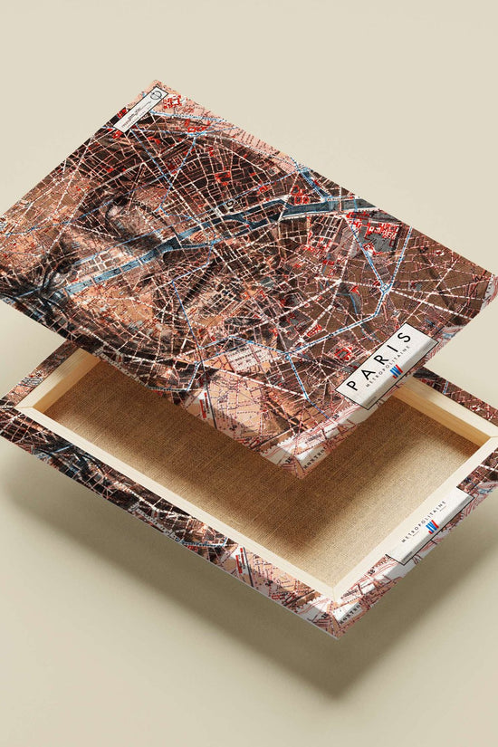 Paris Metro (RATP) map Main Subject: Paris Metro (RATP) map Canvas wall art — Art wall art India | PosterBoizz