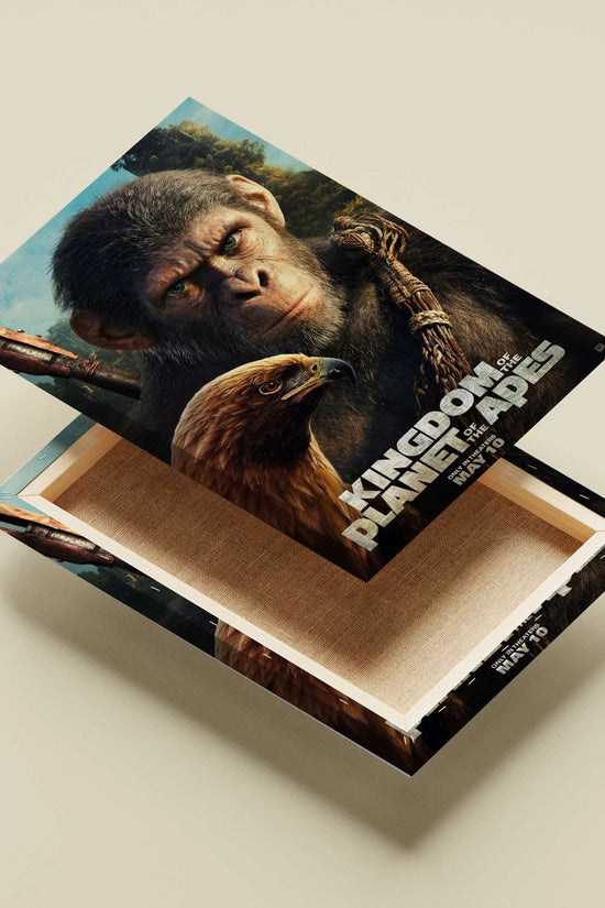 The ape character from the "Kingdom of the Planet of the Apes" franchise. Main Subject: The ape character from the "Kingdom