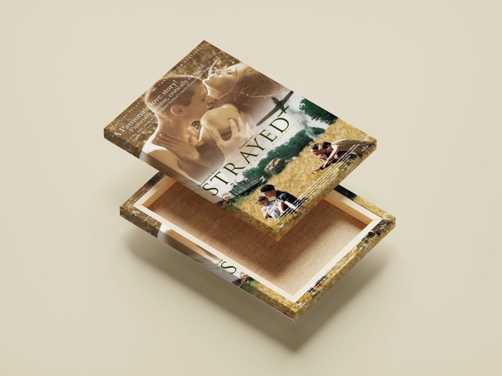 Strayed (film) starring Emmanuelle Béart and directed by André Téchiné Strayed - Iconic French Cinema