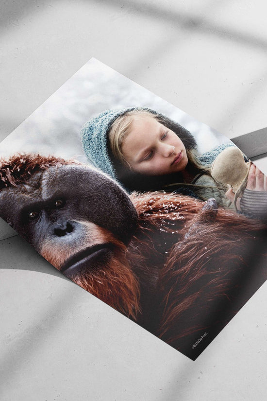 War for the Planet of the Apes (franchise) War For The Planet Of The Apes
