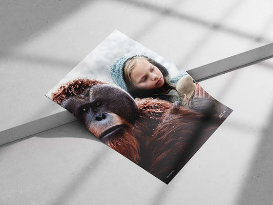 War for the Planet of the Apes (franchise) War For The Planet Of The Apes
